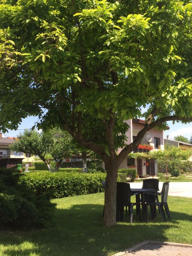 Apartman Studio Sonas 3 With Free Private Parking Karlovac Exteriér fotografie